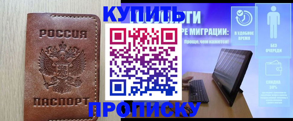 прописка поиск в Новозыбкове